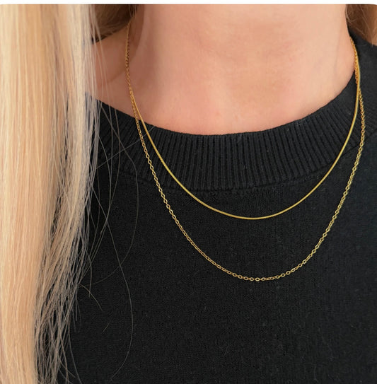 Double Layered Necklace
