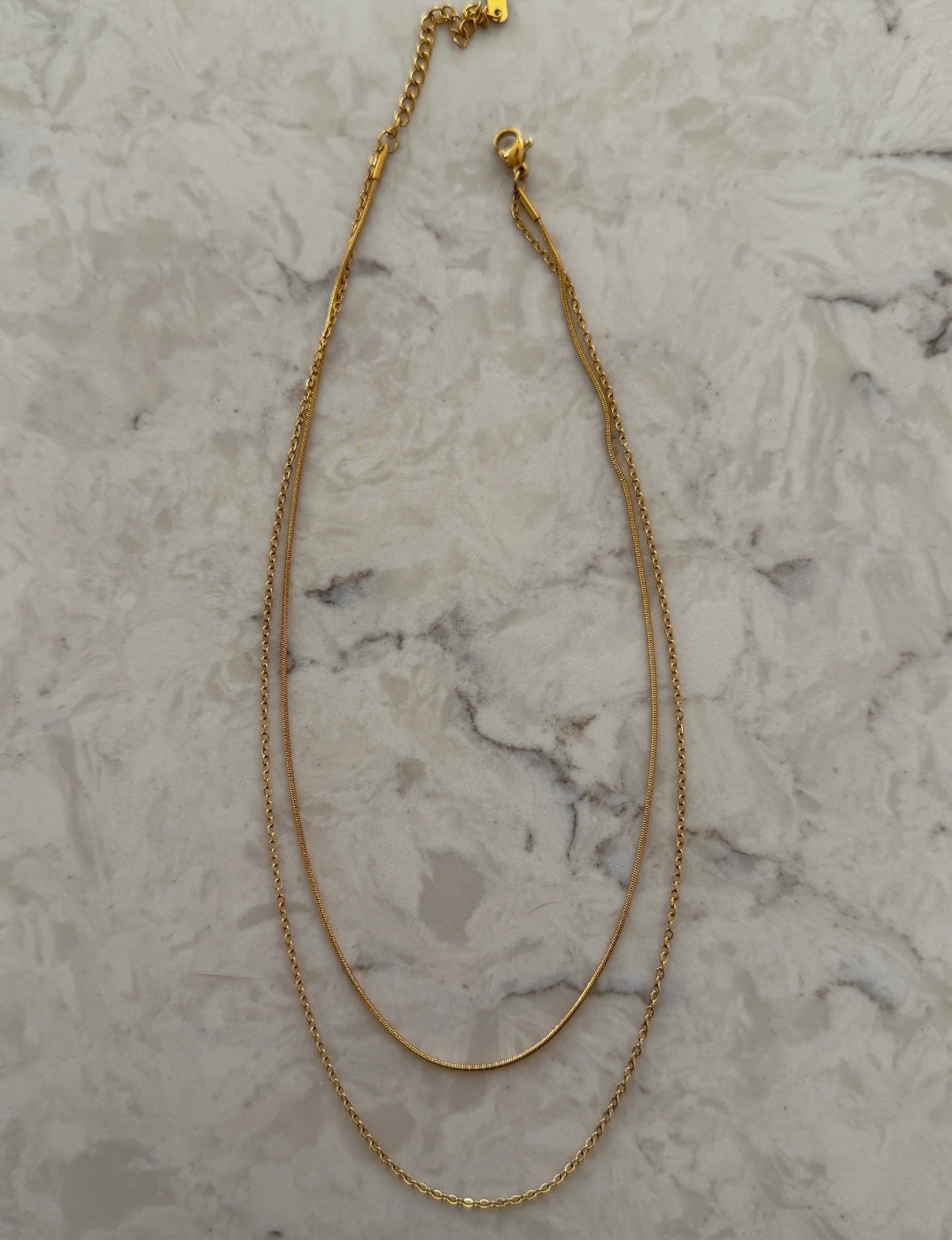 Double Layered Necklace